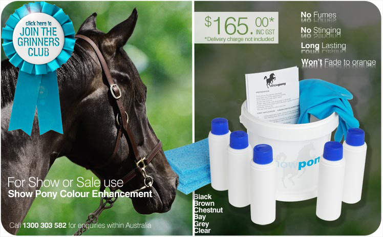 Show Pony Colour Enhancement