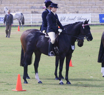 Royal Show