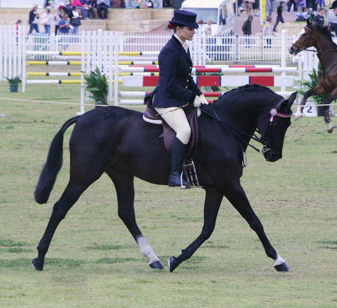 Royal Show